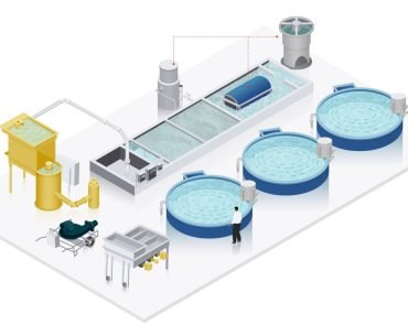 Recirculating Aquaculture System (RAS)